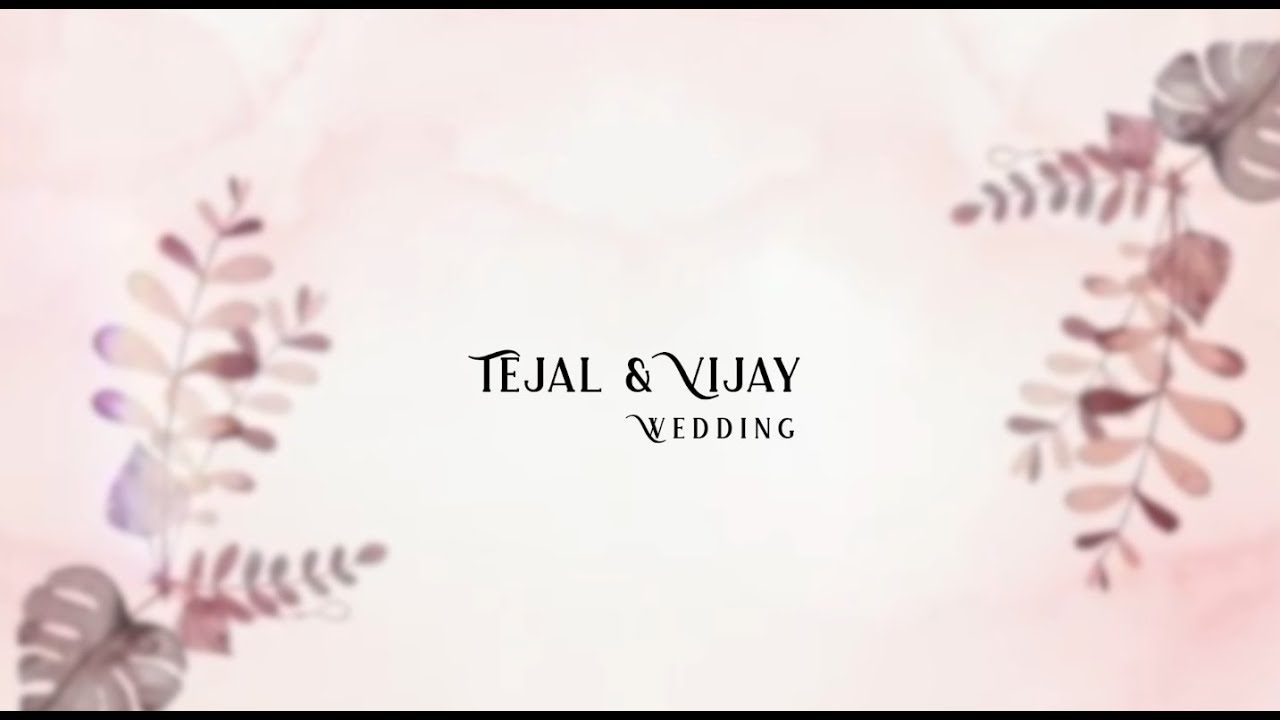 Tejal // Vijay Wedding ( Part 03 )