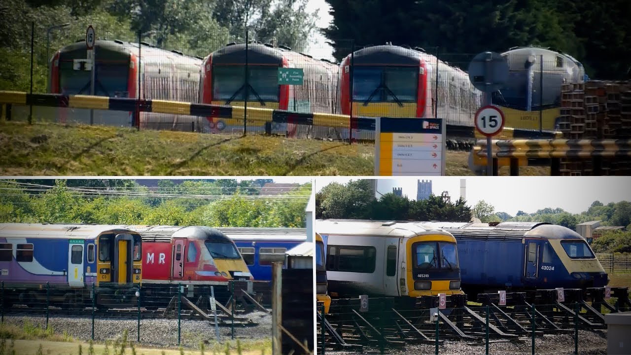 Ely Papworth Sidings | 29th June 2024.