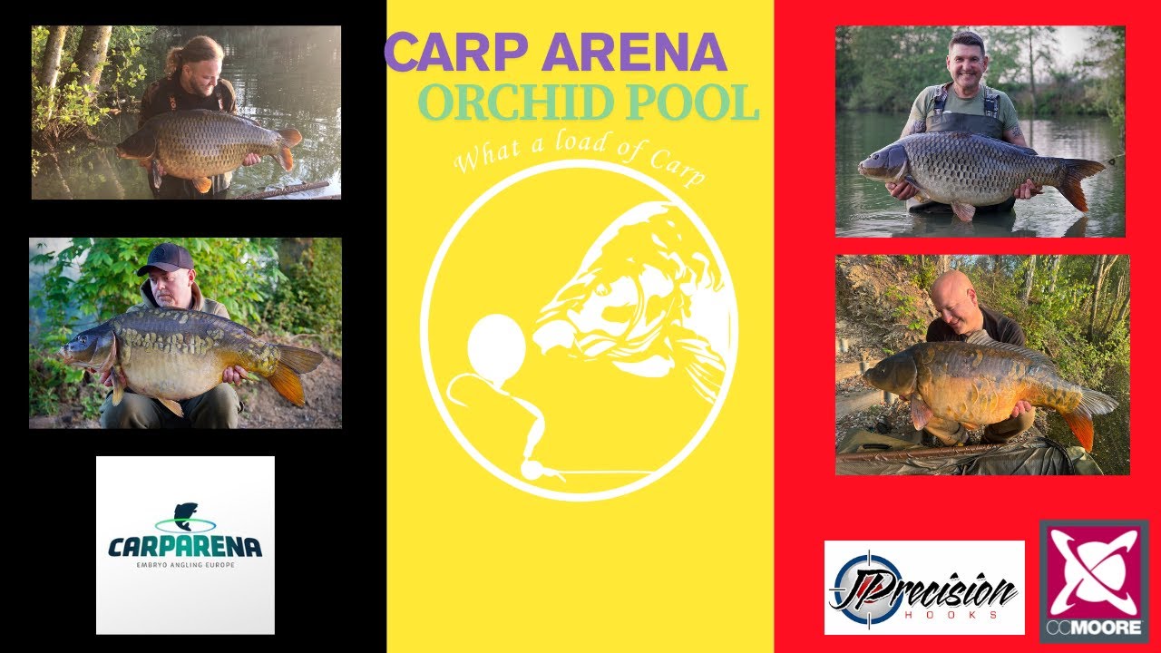Carp Arena Orchid Pool Belgium 2025