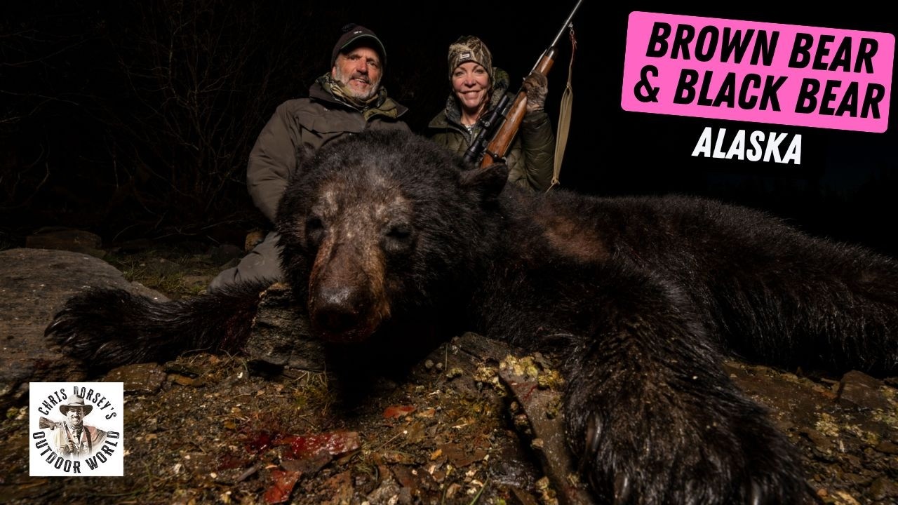 The Bear of her Life