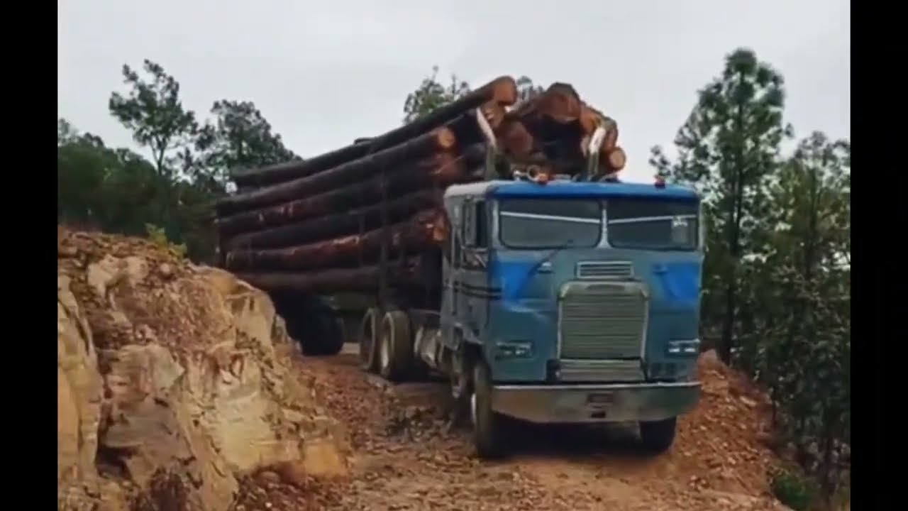 American Logging Trucks in the Forest