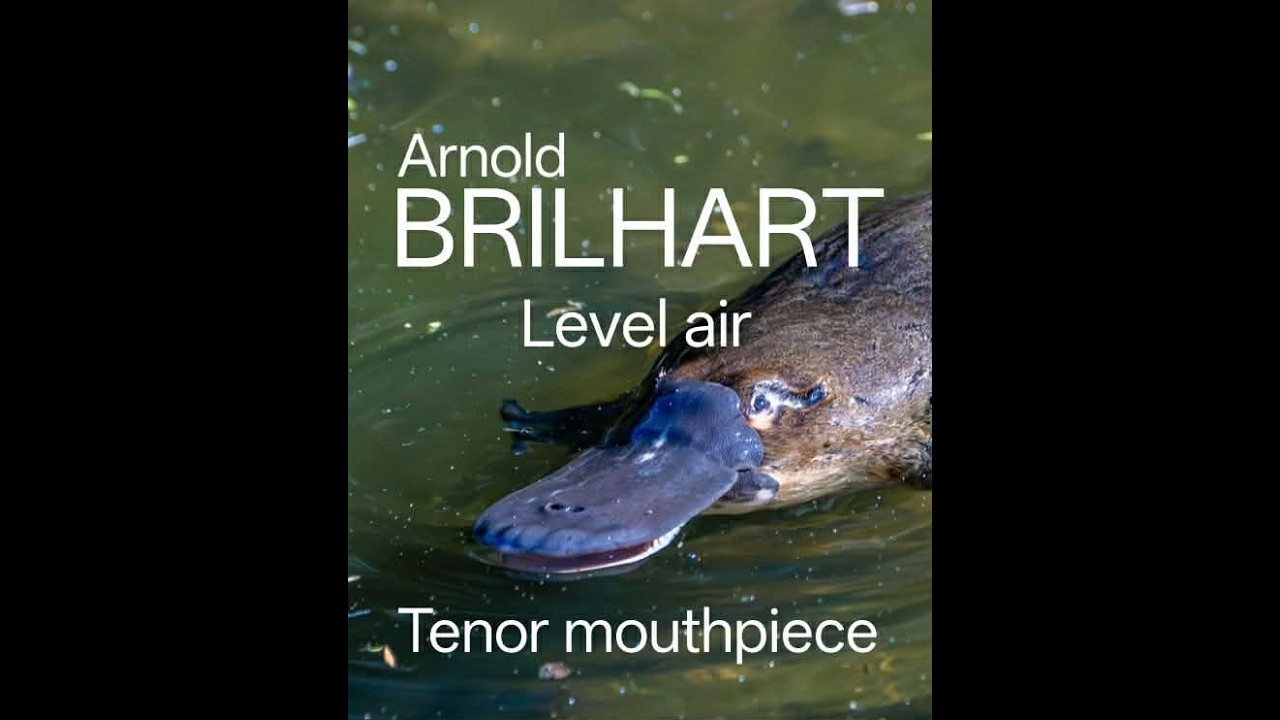 Brilhart Level air mouthpiece looks like a platypus