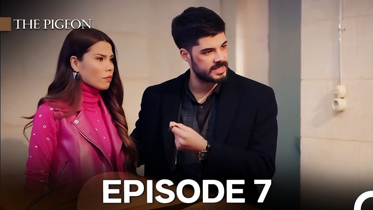 The Pigeon Episode 7 (English Subtitles)