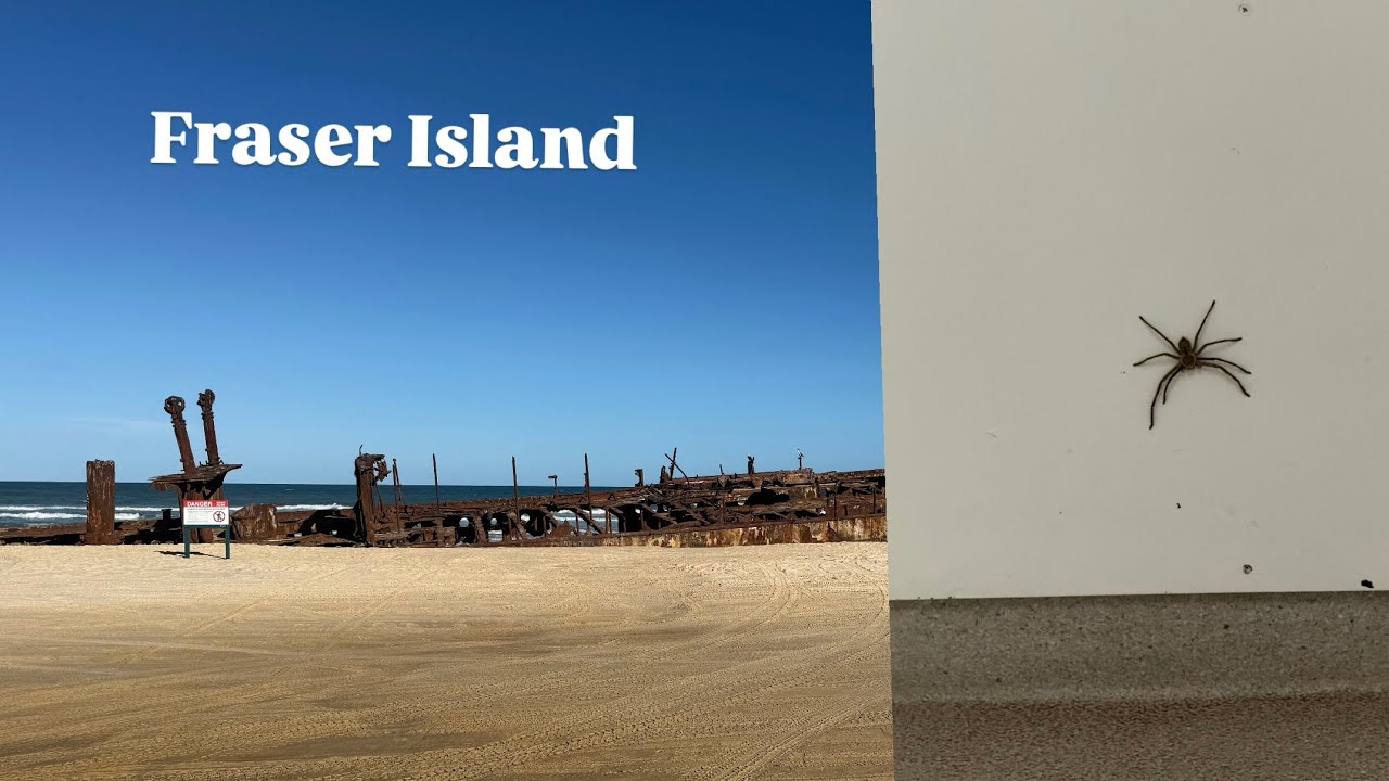 Fraser Island Vlog - PT14
