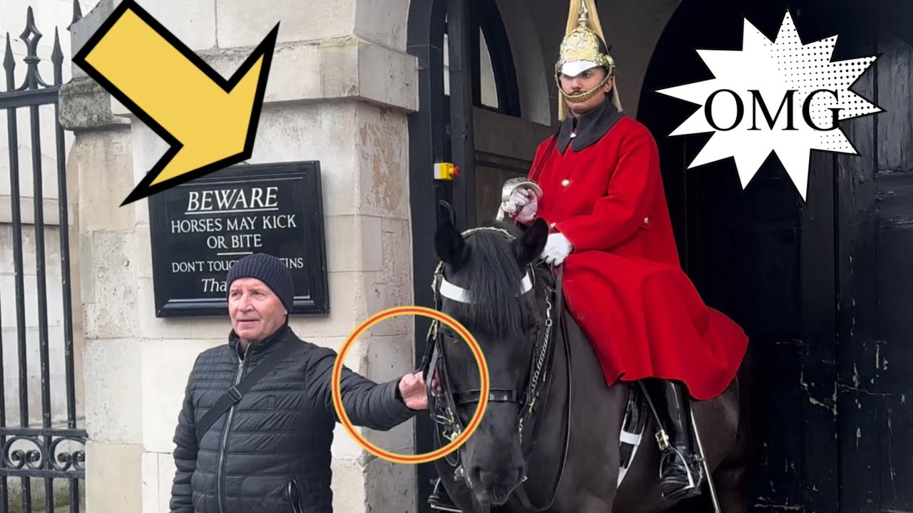 DISRESPECTFUL Tourist REFUSE TO RELEASE grabbing the king’s guard horse reins!!!