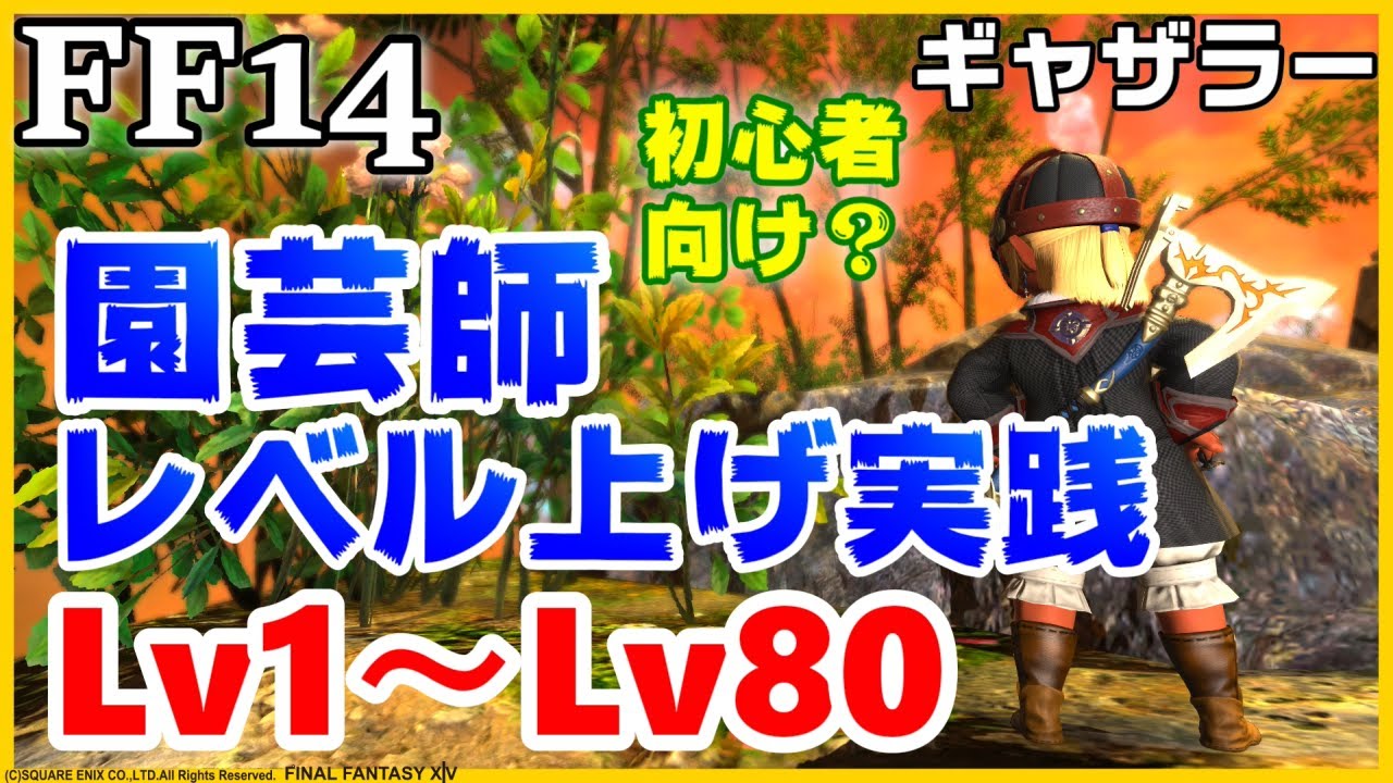 【FF14】ギャザラー「園芸師」簡単レベル上げ！Lv1から80にしますっ！/初心者さん歓迎/レベリング/ディアデム諸島【パッチ5.4X版】
