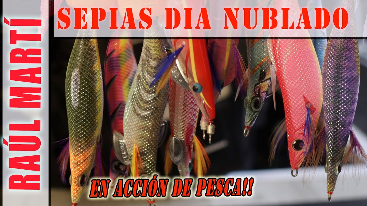 pesca de la sepia dia nublado mala mar