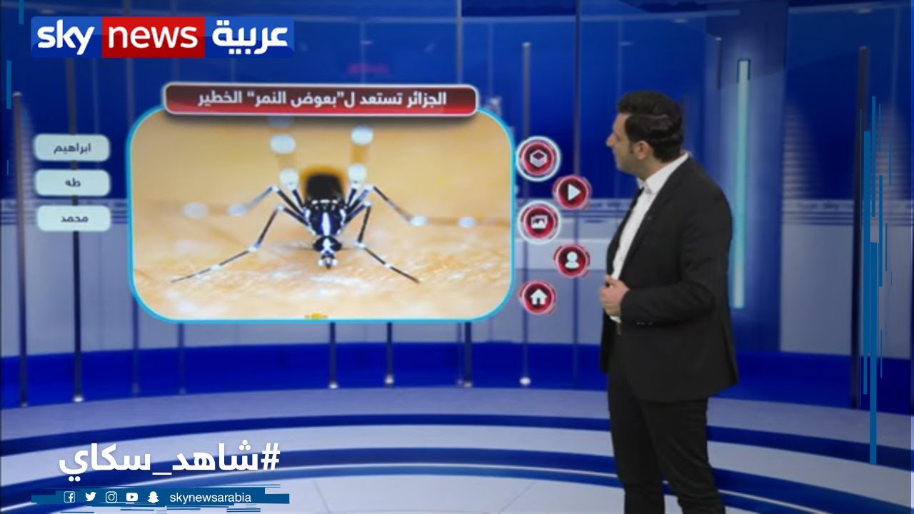 الجزائر تستعد لاجتياح بعوض النمر الآسيوي لأراضيها | منصات