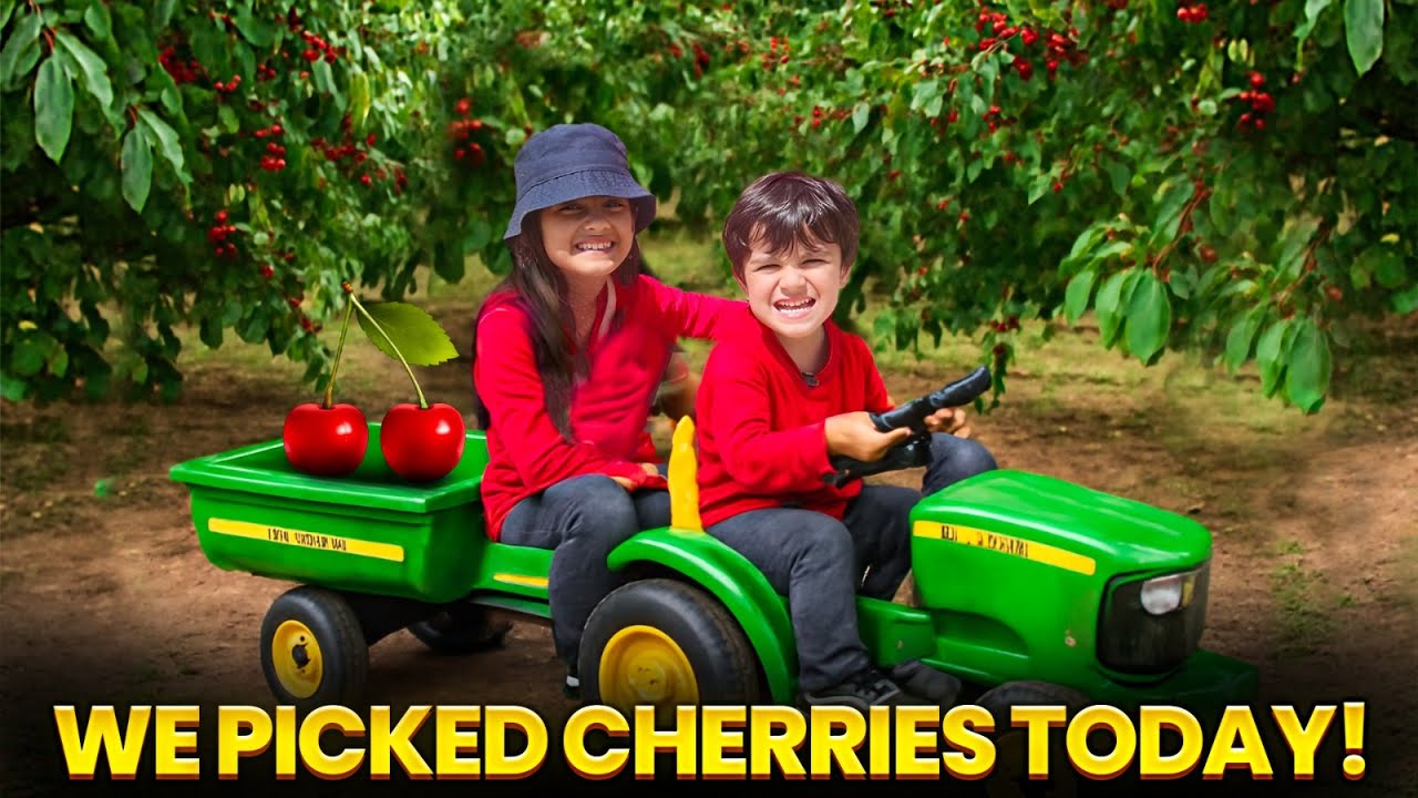 We Picked the Sweetest Cherries | Picking Cherries at the Best Farm | Nyra & Pranav Sweet Adventure!