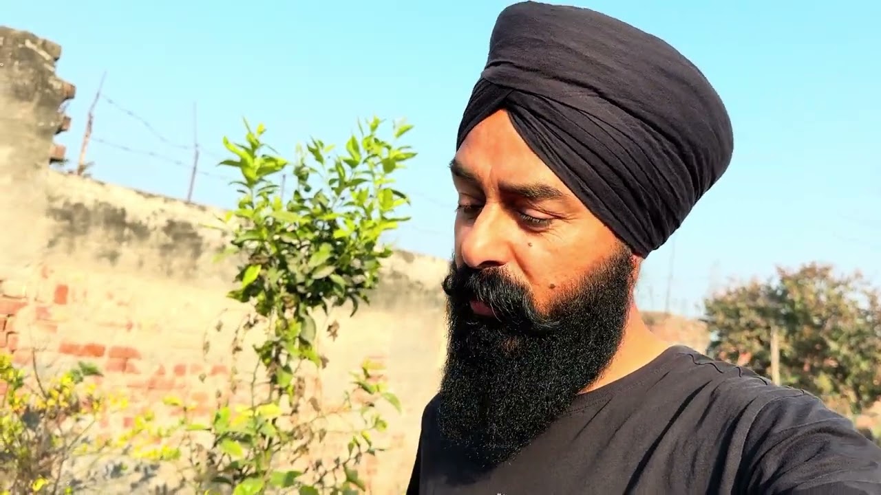 Asi hun krange kitchen gardening | Nikke Chiku Ne Dollar Te Krta Attack | #vlog #familyvlog #family 