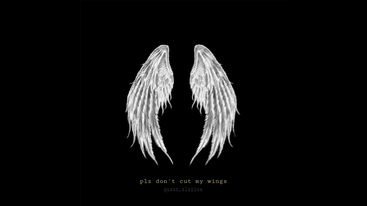 plz don’t cut my wings - MIKE ( intrumental )