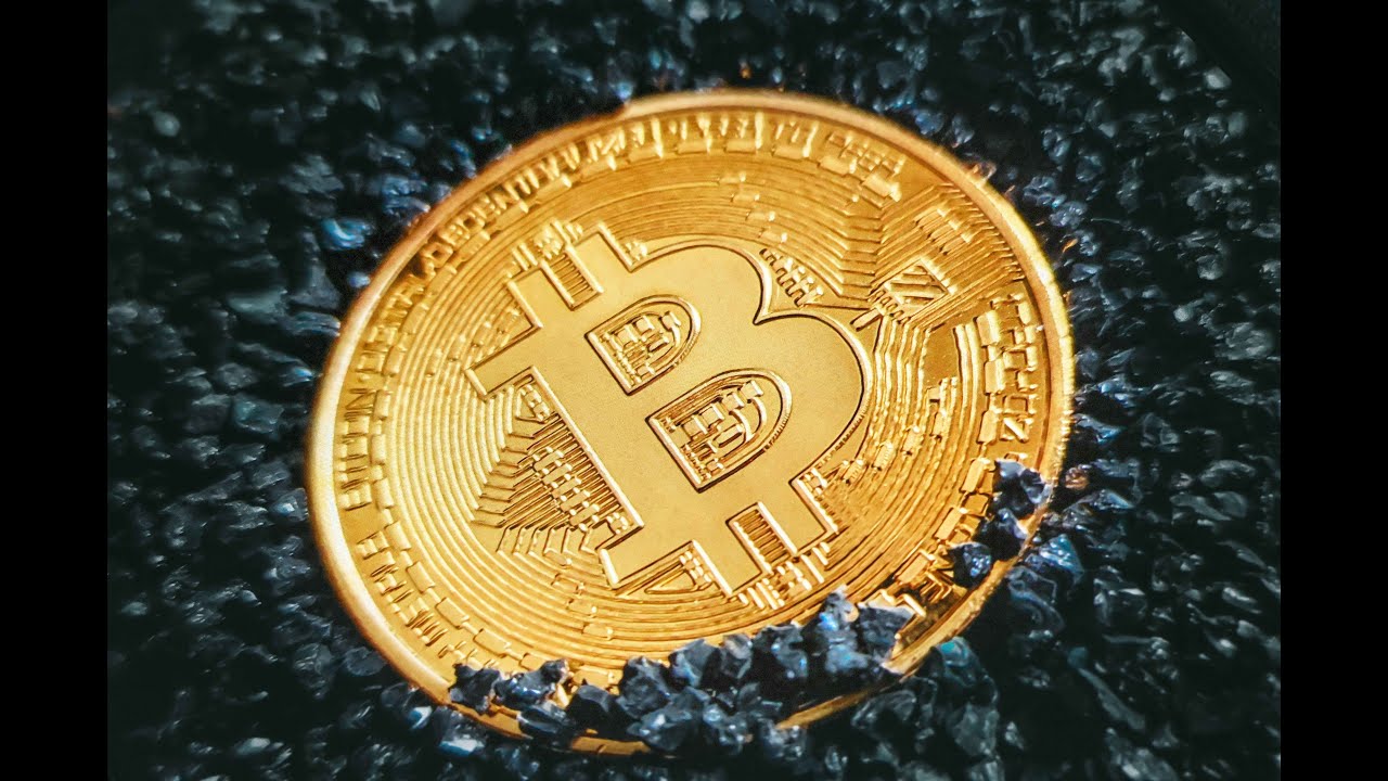 Bitcoin's Halving Cycle