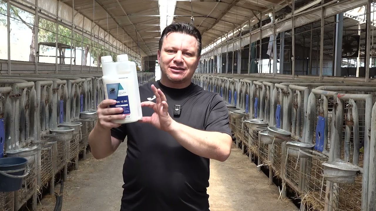 Kara Sineklerle m&uuml;cadelede g&uuml;&ccedil;l&uuml; ve etkili &ccedil;&ouml;z&uuml;m: Dinovek!