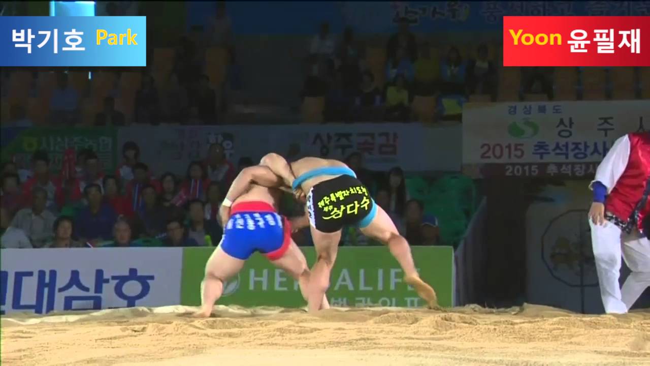 씨름 명장면 씨름 기술 잡치기 하이라이트 5