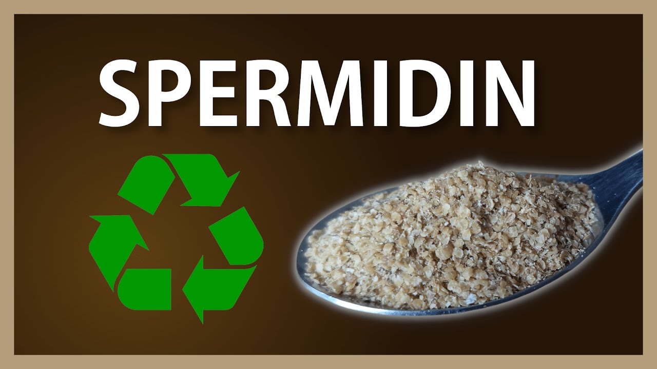 Spermidin: Autophagie-Booster zur Lebensverlängerung? | + Liste spermidinreicher Lebensmittel