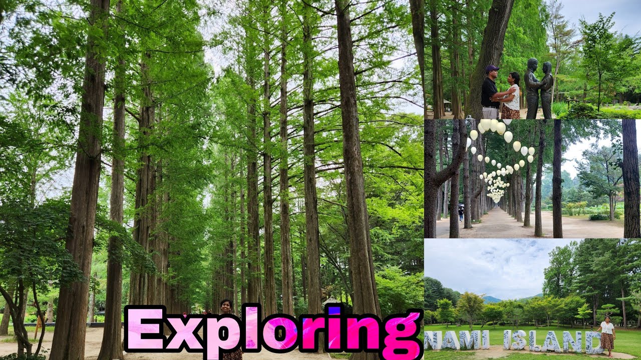 Nami Island| One day trip of Naminara Island🇰🇷| How to go to Nami Island Seoul Korea