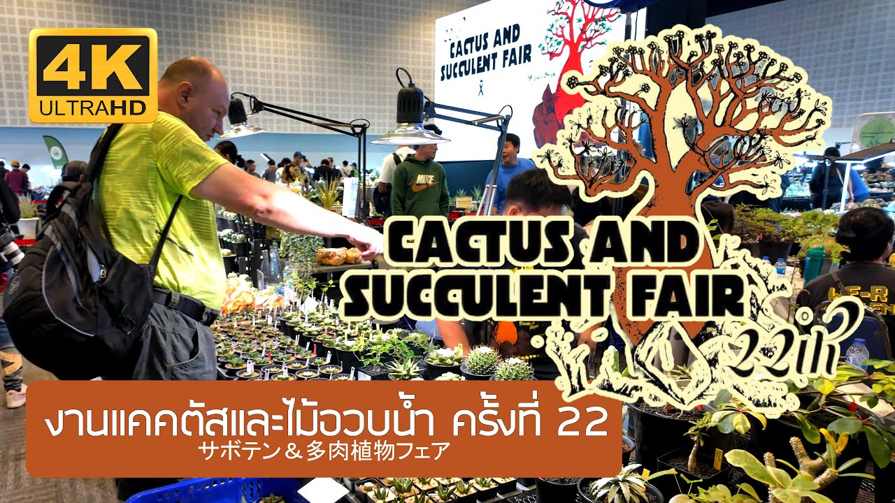 Thailand 22nd Cactus & Succulents Fair 2025 งานแคคตัสและไม้อวบน้ำ ครั้งที่ 22 2568 Bangkok サボテン多肉植物
