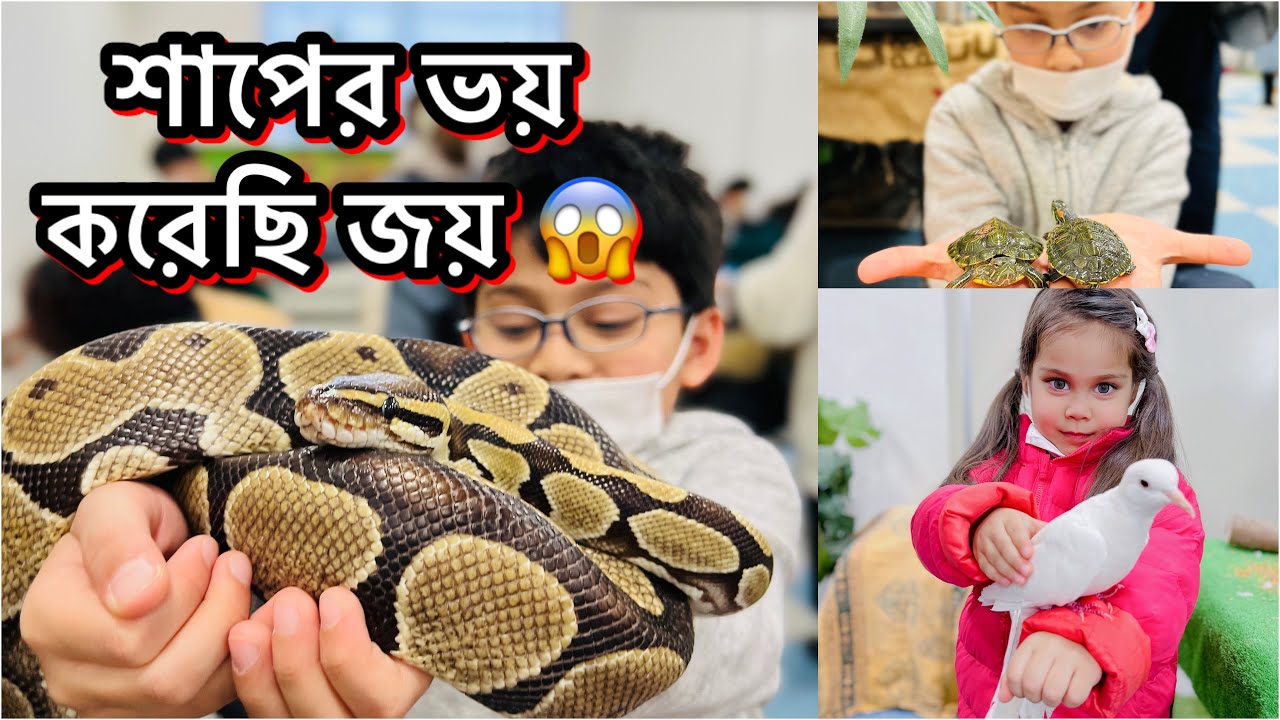 শাপের ভয় করেছি জয় 😱 | White Animal Show | Fukui- Japan | safwanshanayasfamilyvlog