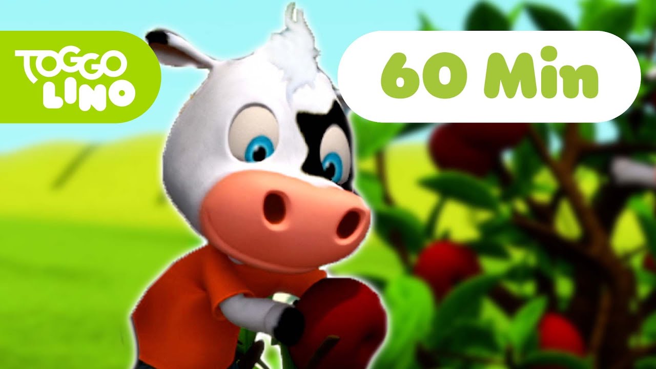 Toggolino pfl&uuml;ckt gerne &Auml;pfel | Abenteuer mit Toggolino