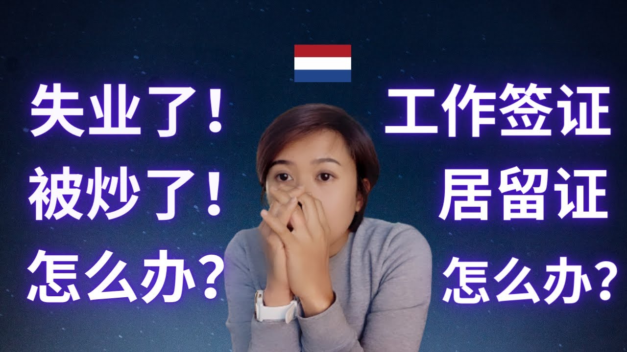 (Eng Subs) 荷兰 | 失业了怎么办 | 我该怎么做 | Losing your job in the Netherlands | What you should know