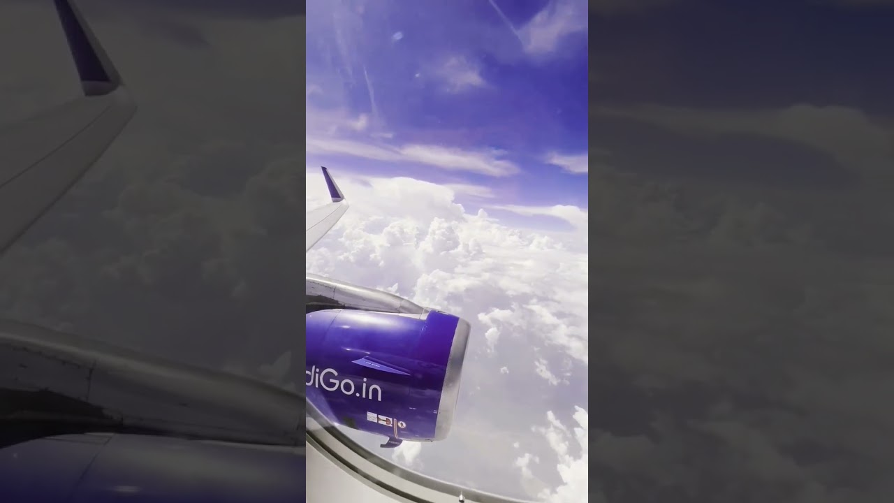 flight ✈️ aviation #flight #flightviews #airplane #flightvideo