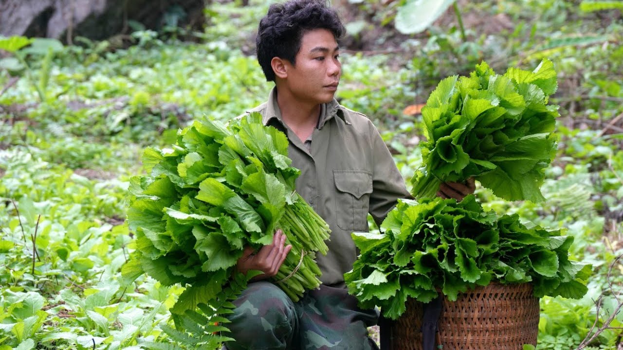 From Entrepreneur to Farmer: CEO Harvests Vegetables and Cooks a Warm Meal