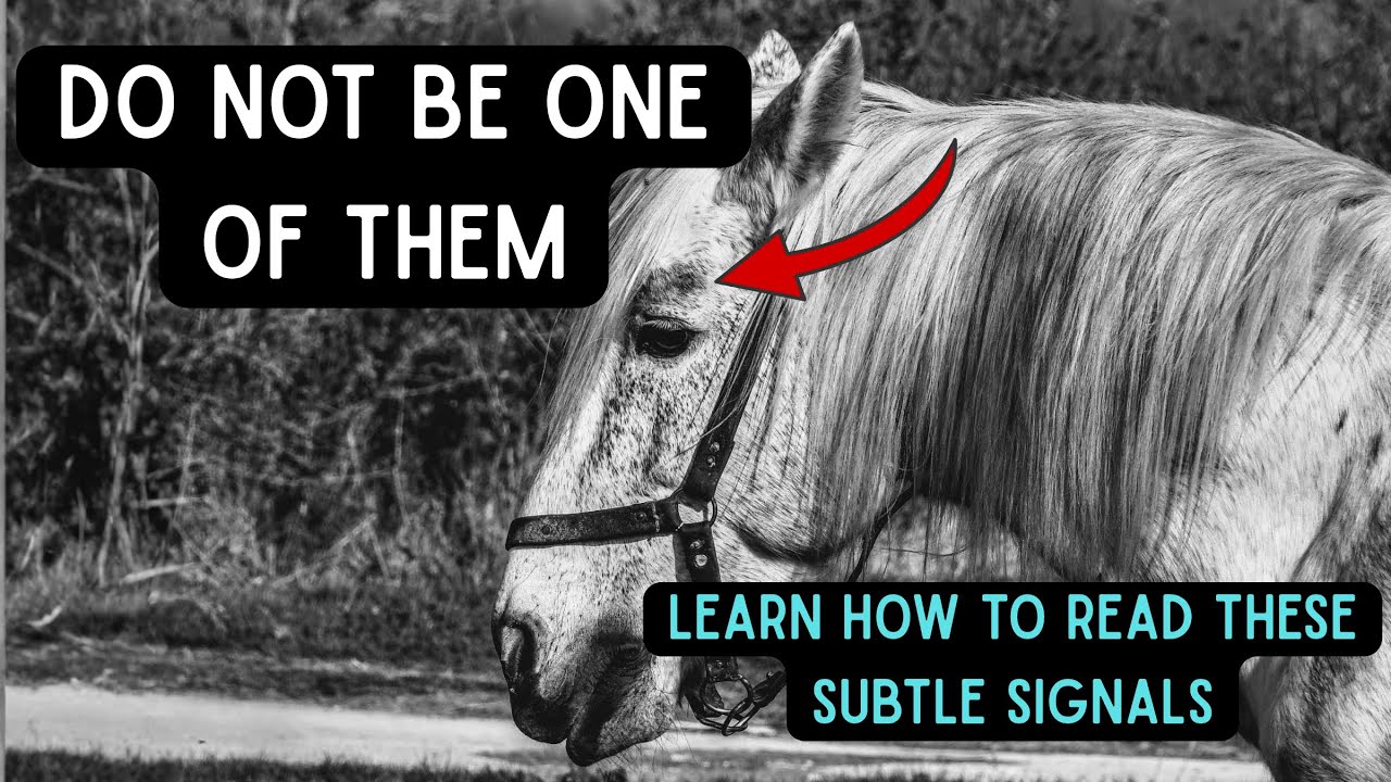 Recognize The Signs Of Pain In Your Horse