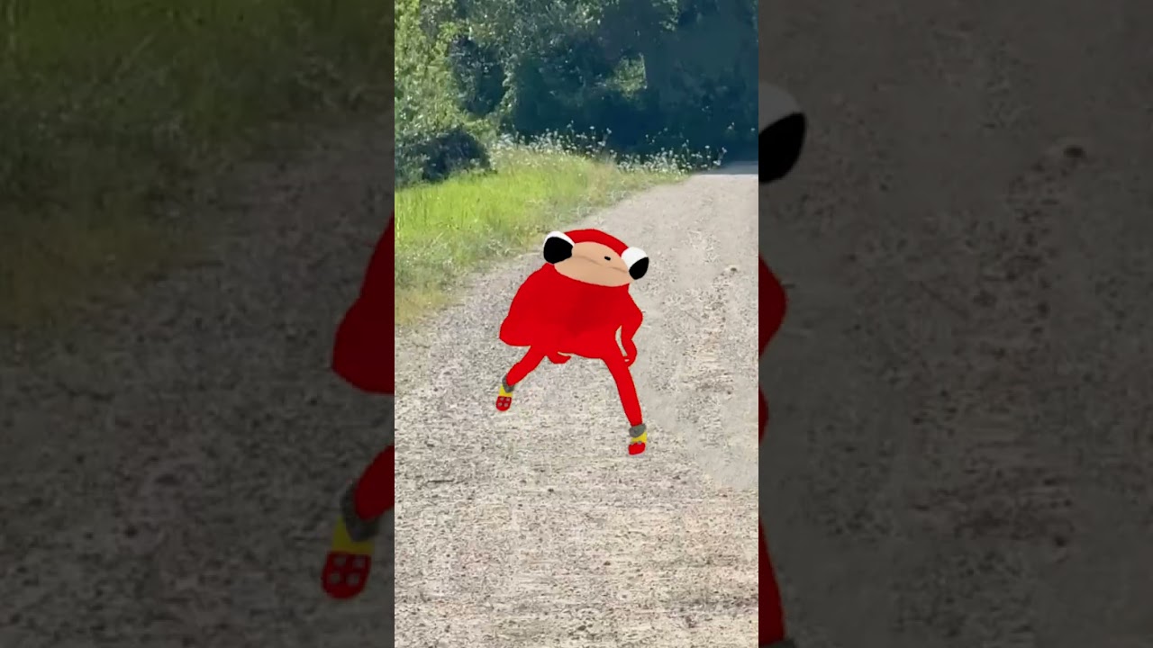 Agarren a ese wey, se rob&oacute; mi gansito #humor #meme #gansito #viral #shortsvideo #zilverk