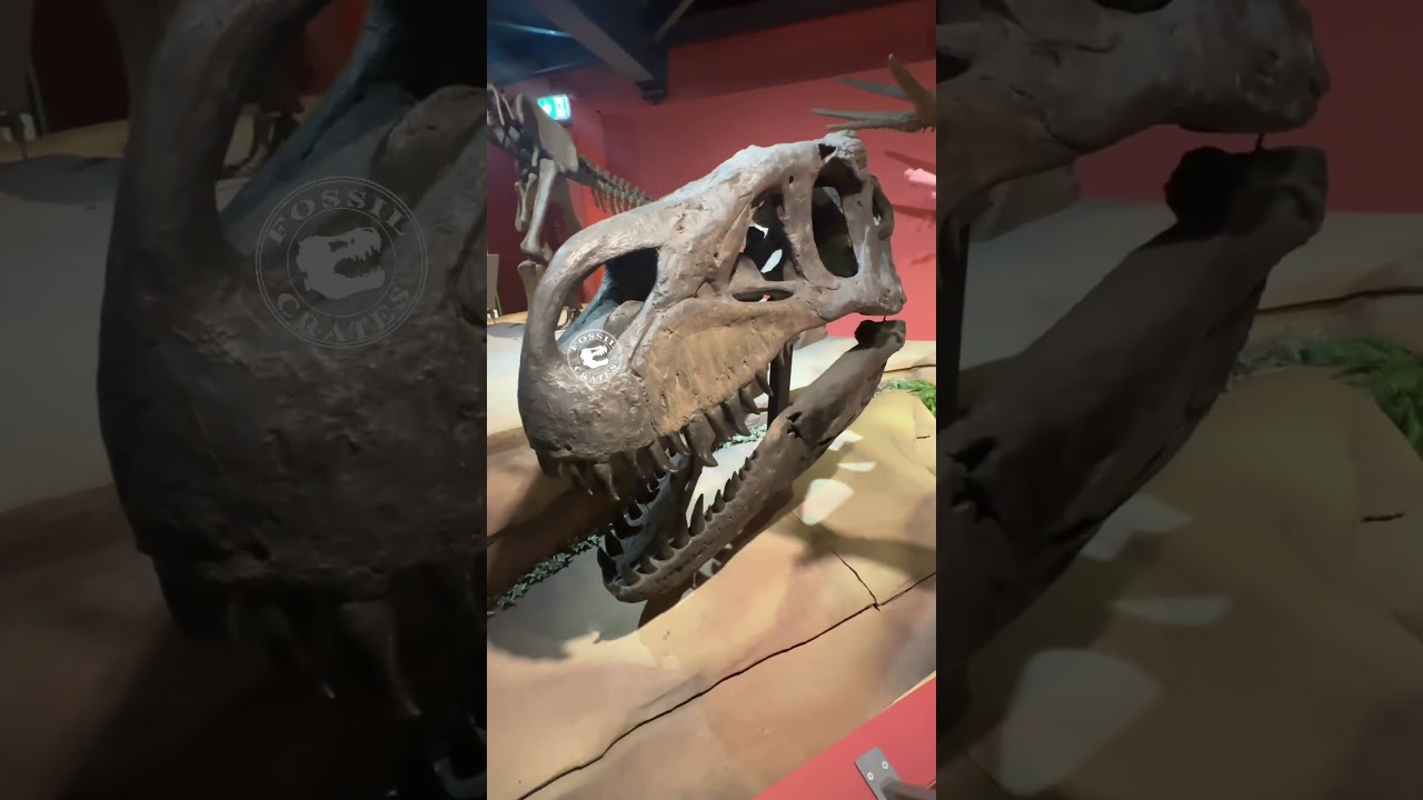 Torvosaurus: Jurassic Apex Predator