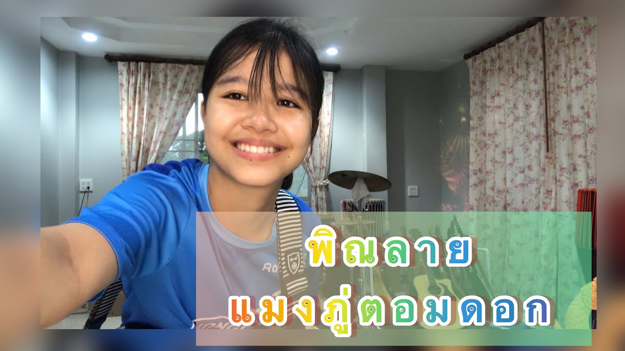 พิณลาย แมงภู่ตอมดอก By กิ๊ฟน้อยพนมไพร