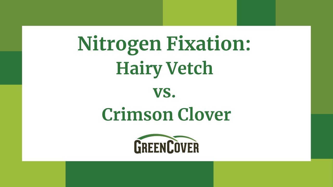 FAQ - Nitrogen Fixation: Hairy Vetch VS Crimson Clover