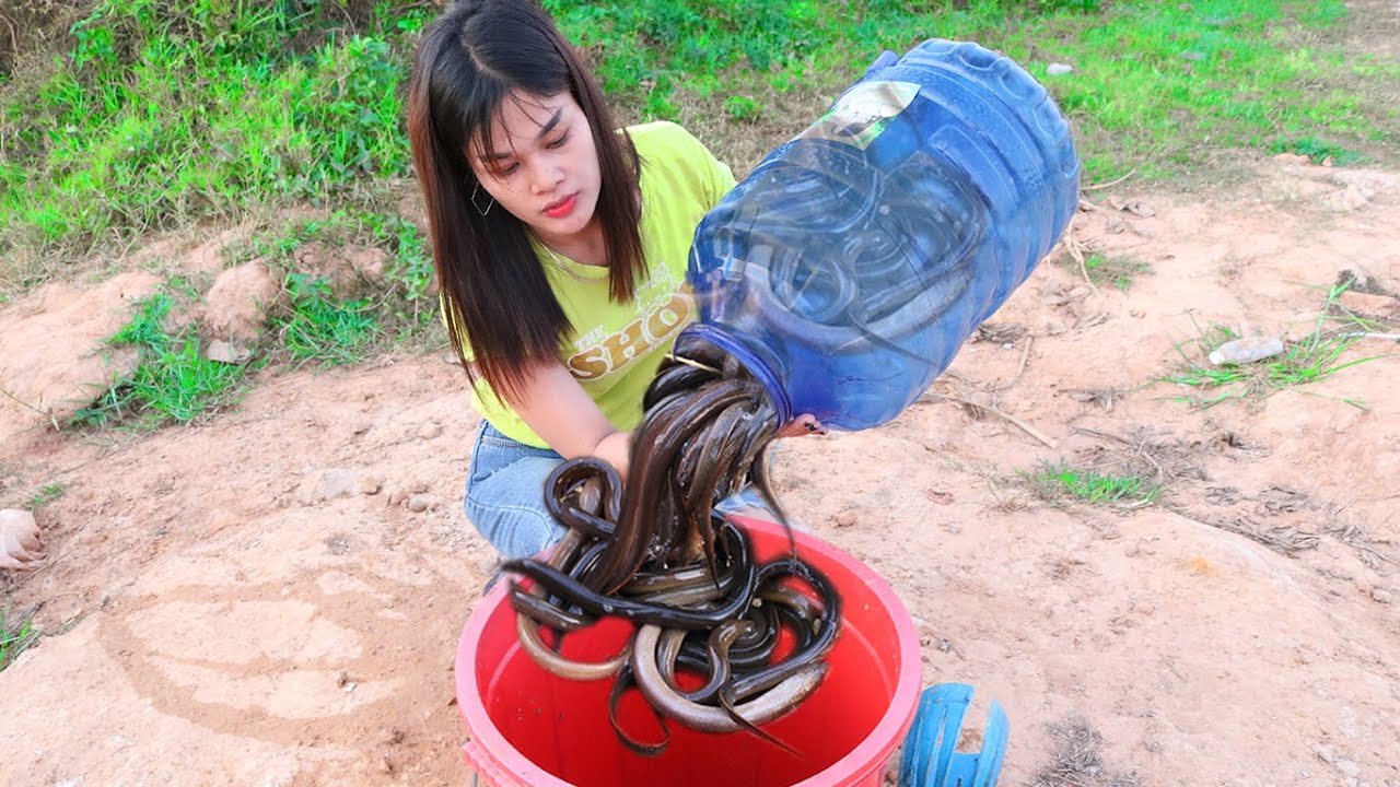 Easy Eel Trap - Creative Unique Eel Trap With Blue Bottle That Work 100% Make By Beautiful Girl