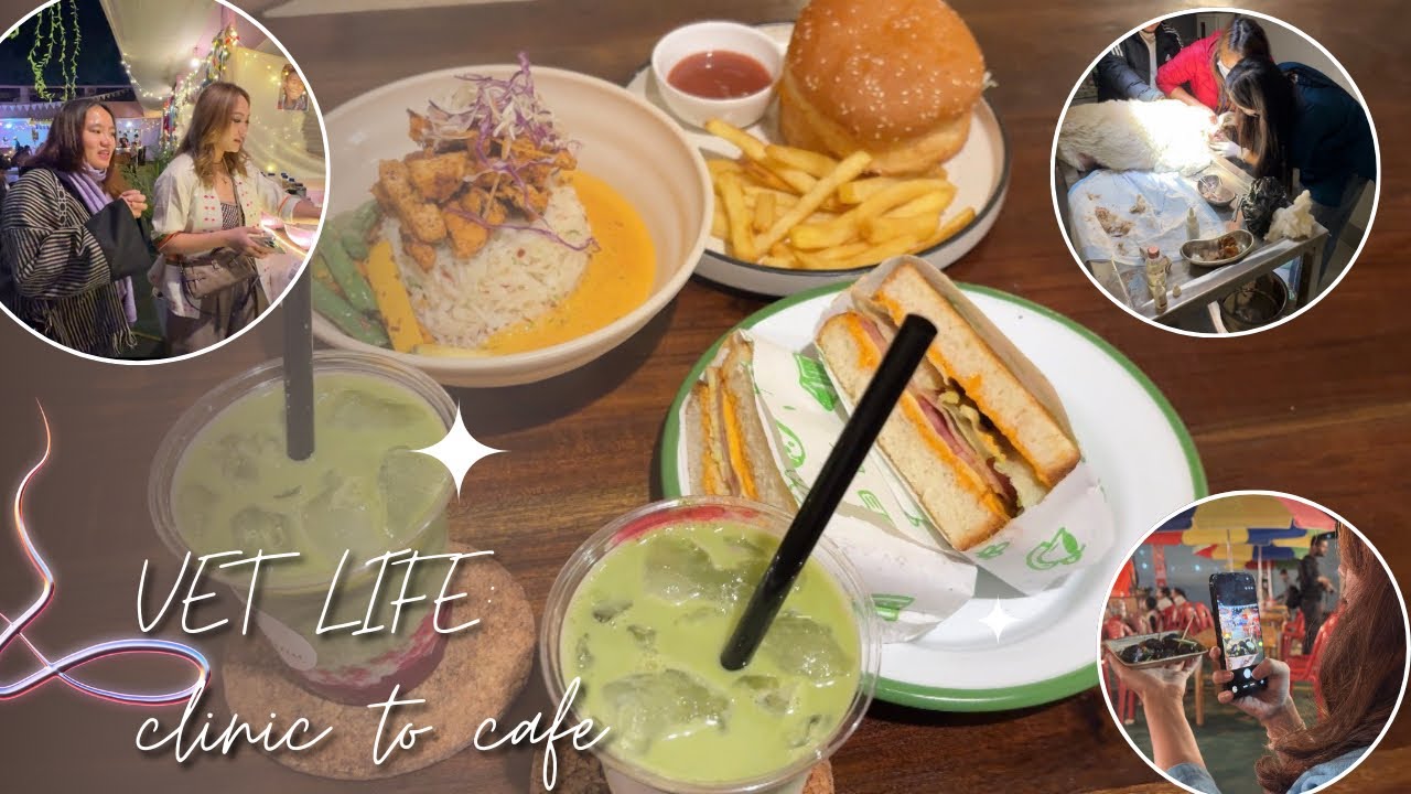 A Day in Vet Life | Clinic to Cafe 