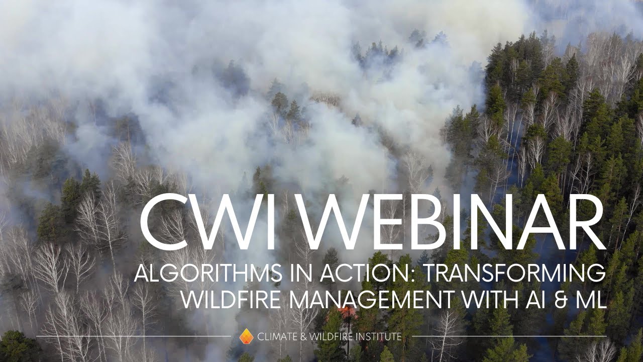 Algorithms in Action: Transforming Wildfire Management with AI & ML