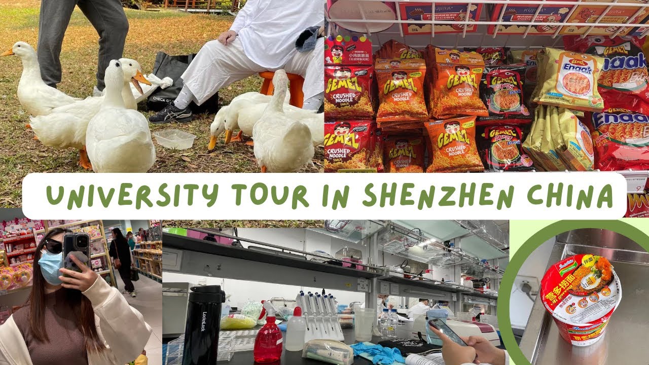 Sustech University Tour Shenzhen China