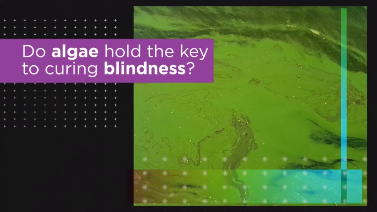 For the First Time, Optogenetic Therapy Partially Restores Patient’s Vision
