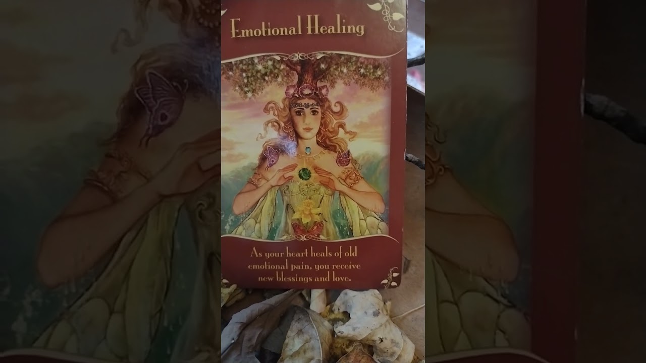 Magical Messages from the Fairies 🧚✨