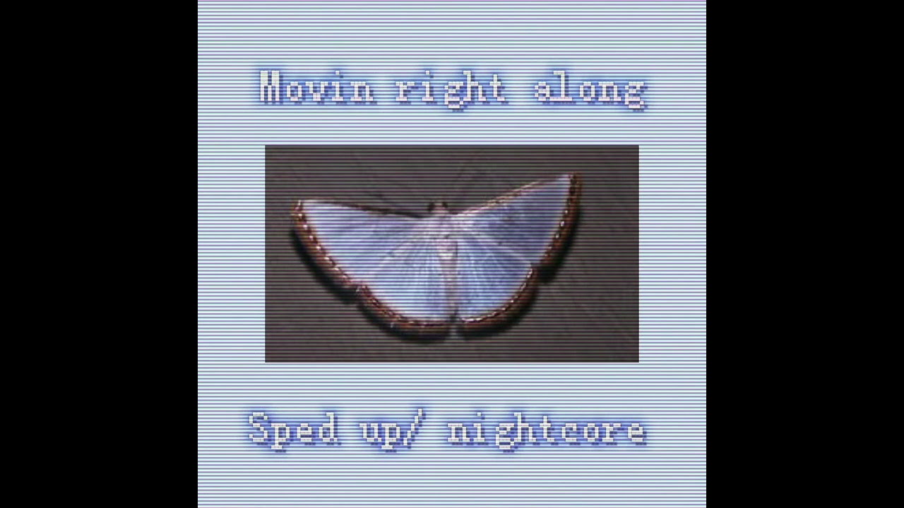 𝐴𝑙𝑘𝑖𝑛𝑒  𝑡𝑟𝑖𝑜－ 𝑚𝑜𝑣𝑖𝑛 𝑟𝑖𝑔ℎ𝑡 𝑎𝑙𝑜𝑛𝑔 （𝑠𝑝𝑒𝑑 𝑢𝑝／𝑛𝑖𝑔ℎ𝑡𝑐𝑜𝑟𝑒) 🦋