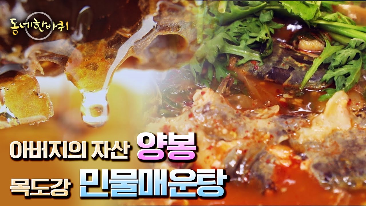 [동네 한 바퀴] 자연에 가까운 환경에서 키우는 양봉 일기 & 목도강 쌍둥이 형제의 민물매운탕 “영글어간다 인생 – 충북 괴산” (KBS 20220910 방송)