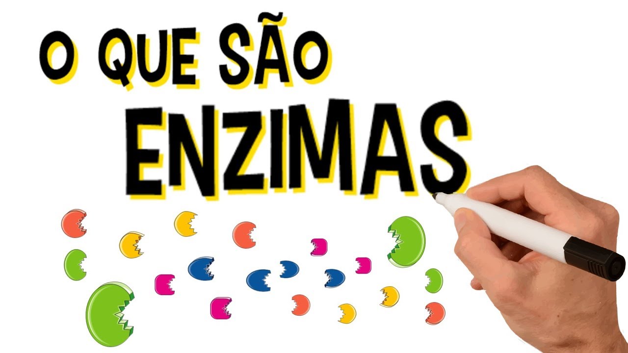 ✅ O QUE S&Atilde;O ENZIMAS?