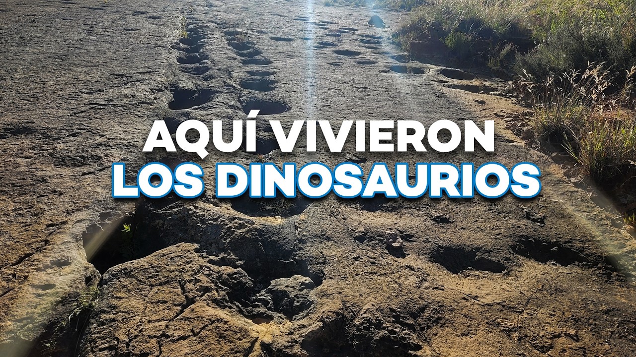 Huellas de DINOSAURIOS en Toro Toro Bolivia