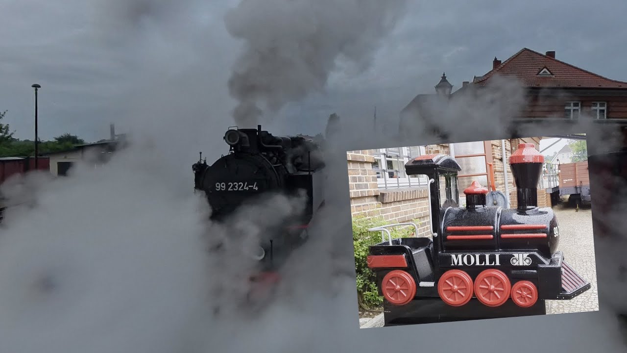 MORGENS MIT DER MOLLI