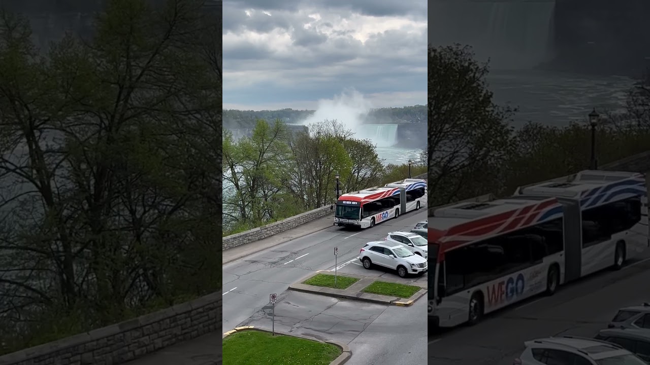 The WEGO Bus Niagara Falls Canada  #shorts #bus #travel #placestovisit