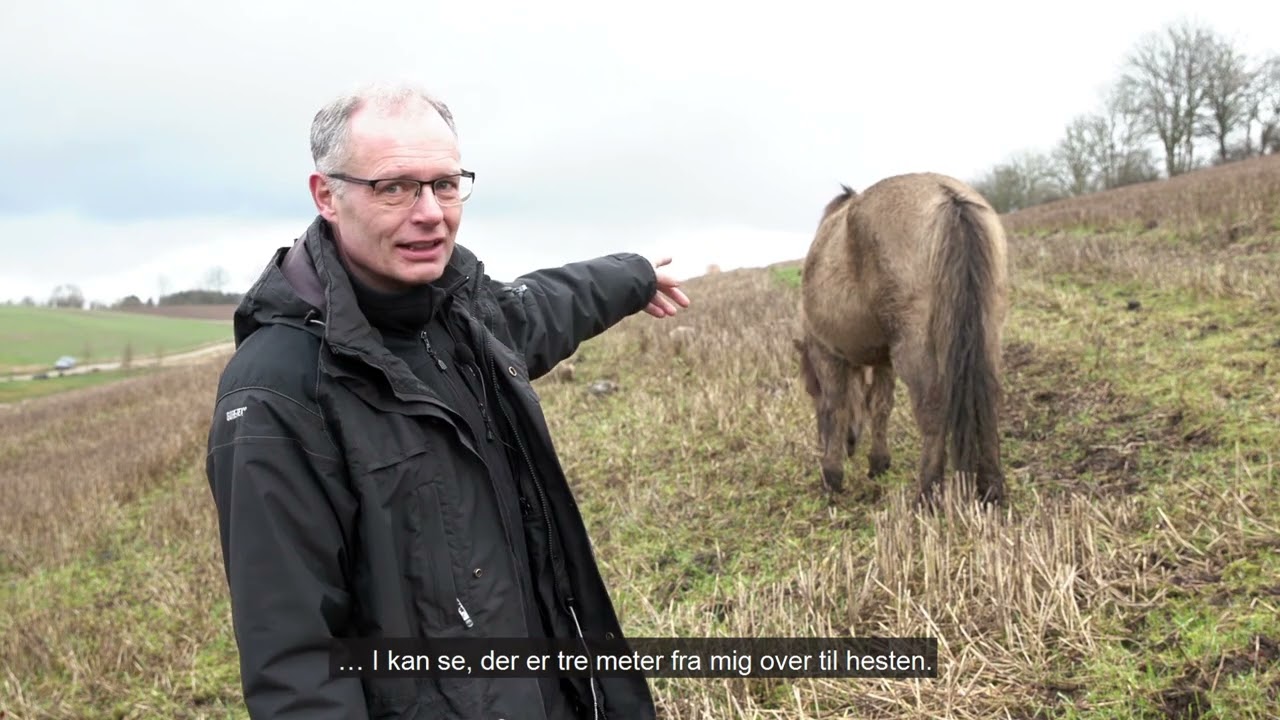 Ny Natur i Tirsbæk Bakker