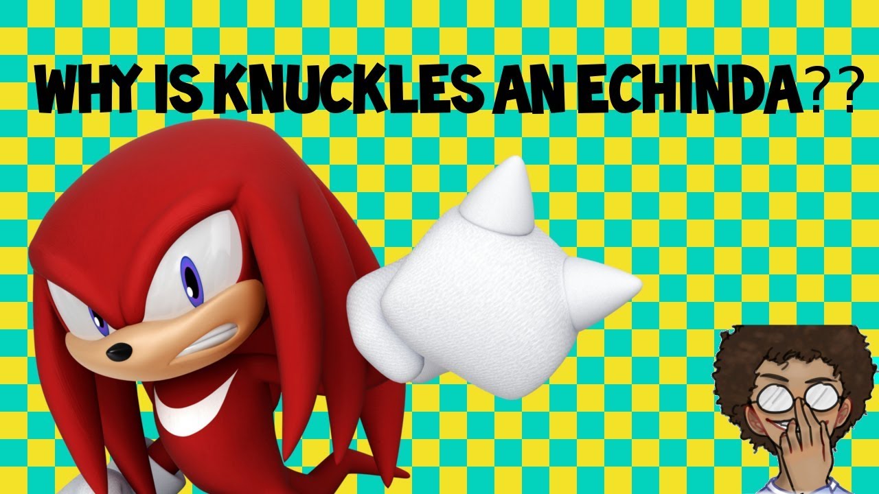 Why Is Knuckles An Echinda???