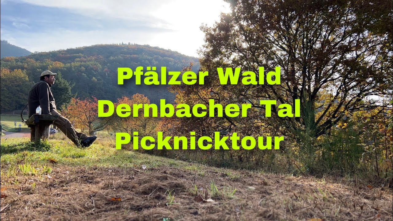 Picknicktour im Dernbacher Tal, Pfälzerwald