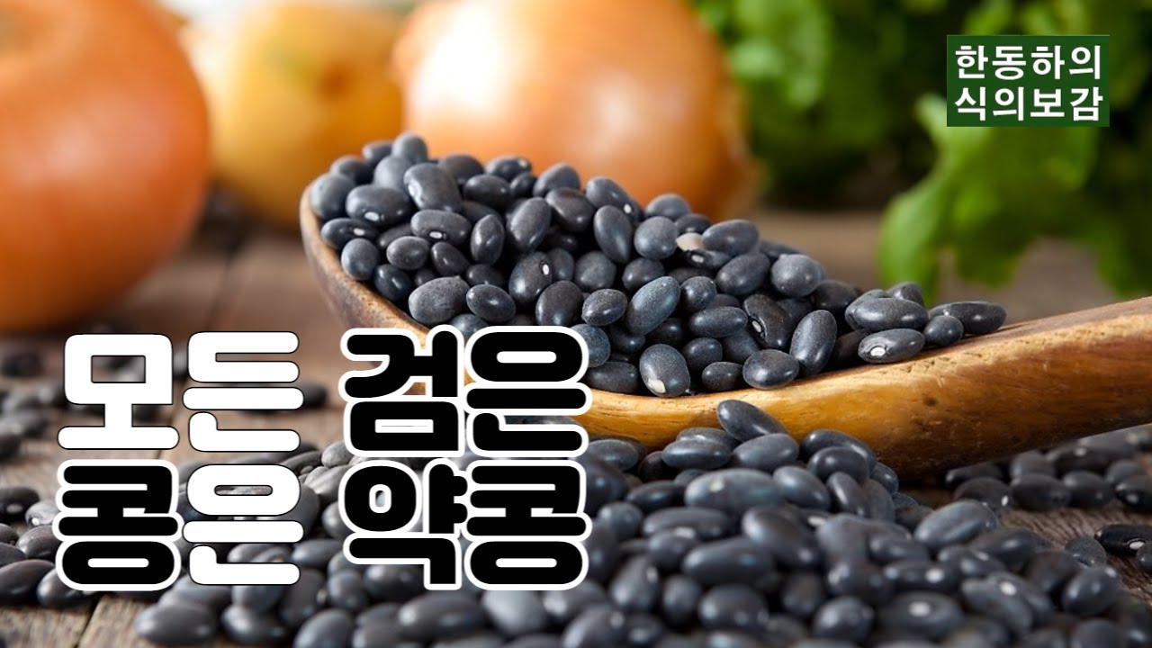 쥐눈이콩만 약콩? 검은콩은 모두 약콩이다. - 한동하의 식의보감
