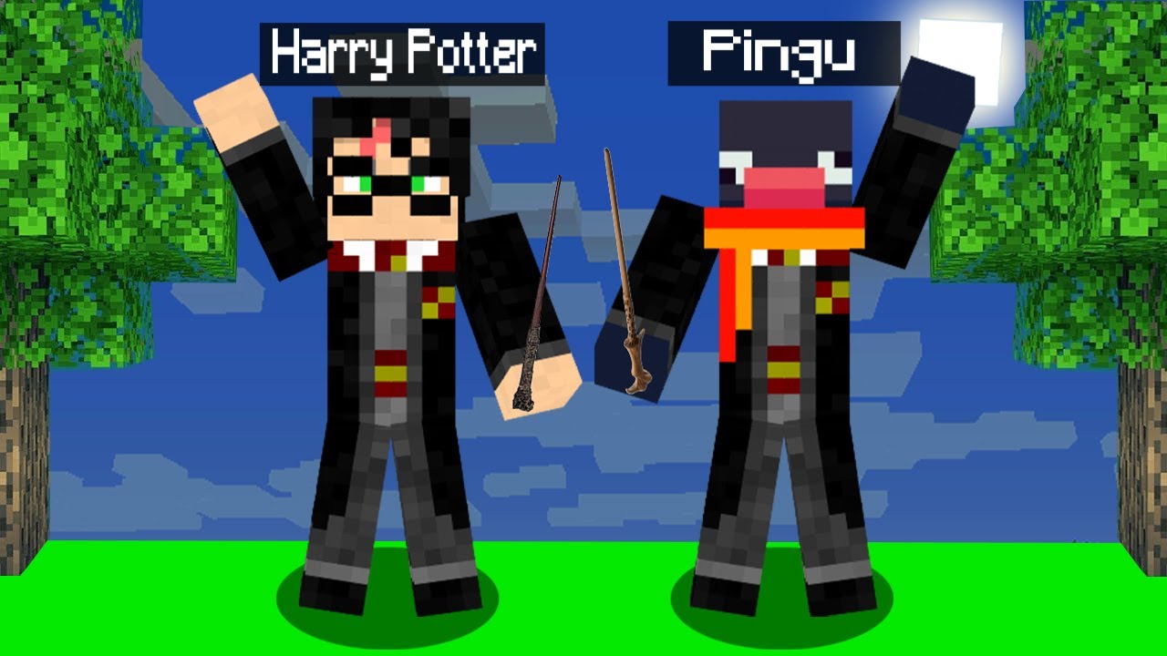 GIOCARE COME HARRY POTTER SU MINECRAFT!!! (Mago)