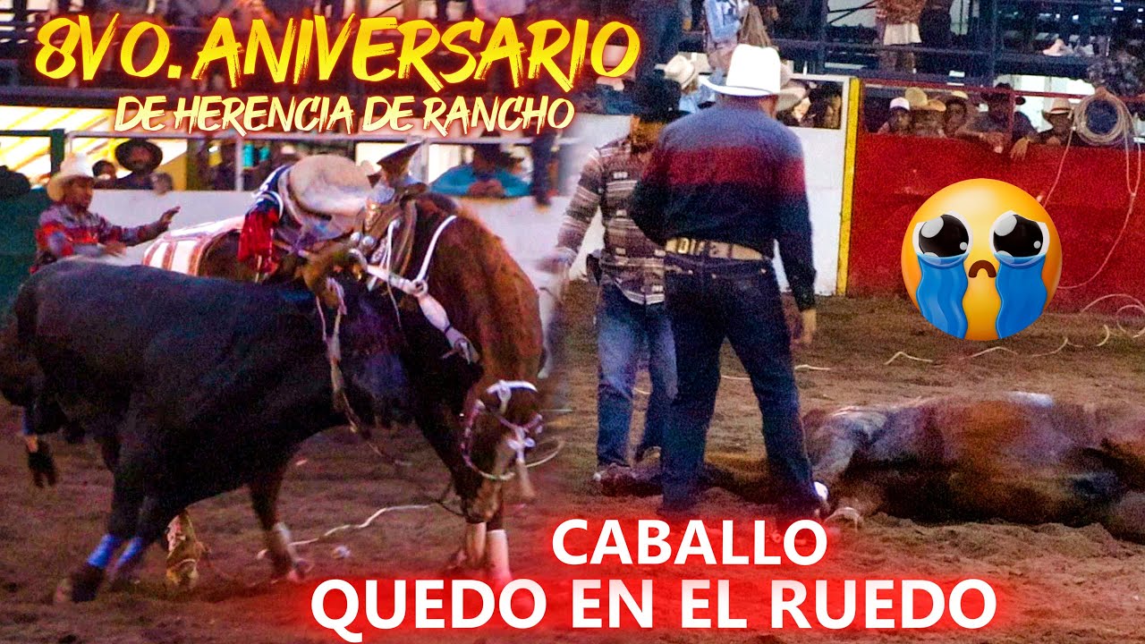 El Caballo Quedo En El Ruedo En El 8VO Aniversario de HERENCIA DE RANCHO En la dos Caminos