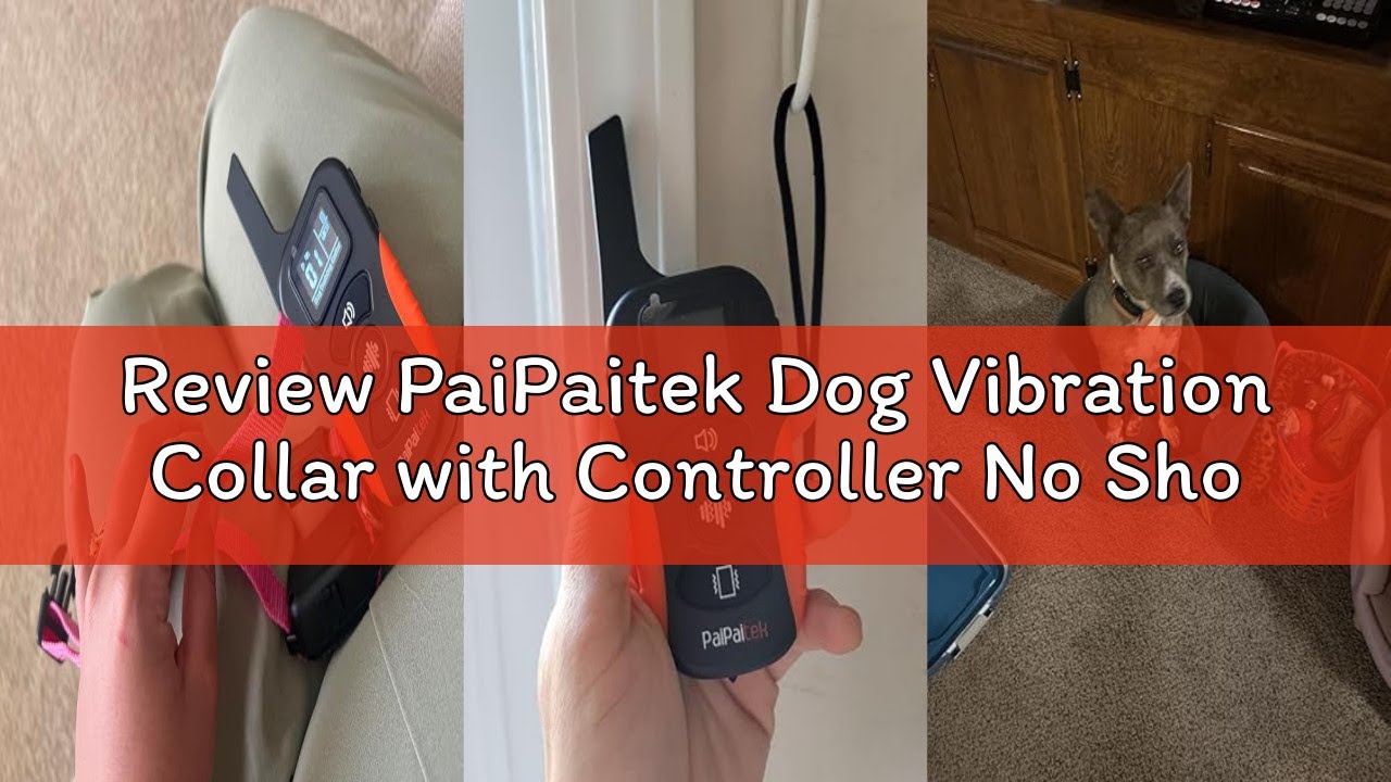 Review PaiPaitek Dog Vibration Collar with Controller No Shock, 3300ft Waterproof Training Dog Colla